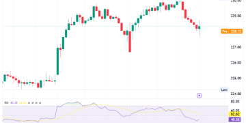 Apple Shares: $100M Investment Proposal