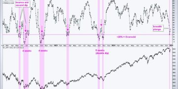 Is this Bounce a Robust Rebound or a Dead-Cat Bounce?