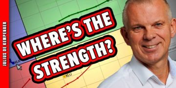 Top Techniques for Finding Strength in Sectors