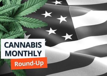 Cannabis Round-Up: DEA Postpones Rescheduling Hearing, Key Players Share Quarterly Results