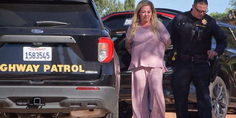 Retail crime ‘queenpin’ to pay millions in restitution to retailers for theft ring