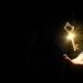 Unlocking the Secrets to Profitable Semiconductor Investments