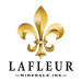 LaFleur Minerals Announces Memorandum of Understanding with Granada Gold on Milling Assessment for the Granada Gold Project Using the Beacon Gold Mill