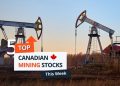 Top 5 Canadian Mining Stocks This Week: Tag Oil Posts 76 Percent Gain