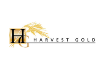 Harvest Gold Soil Sampling Program Reveals Several New Gold Targets At Its Quebec Mosseau Project