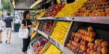 U.S. farm agency allows six more states to bar some items from food aid