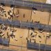 Cattle Extend Losses to Tuesday, as Early Cash Business Falls