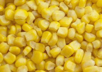 Corn Losses Extend to Wednesday’s Midday