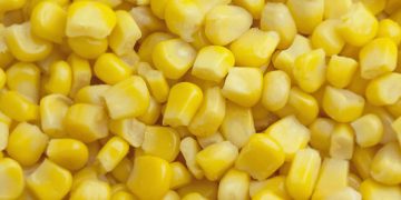 Corn Losses Extend to Wednesday’s Midday
