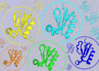 Looking beyond natural sequences | MIT News