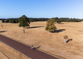 Politics Home Article | Public Concern About Climate Change Rises After Summer Of Extreme Heat