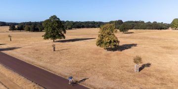 Politics Home Article | Public Concern About Climate Change Rises After Summer Of Extreme Heat
