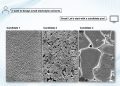 Solving the solvent problem | MIT News