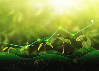 concept of growth