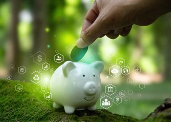 pig shows concept of sustainable investing