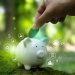 pig shows concept of sustainable investing