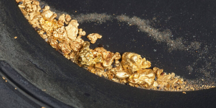 panning for gold uncovers nuggets and flakes