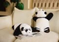 Mind With Heart Robotics Launches AnAn Panda Robot in Europe