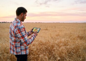 Wheat Starting Wednesday with Weakness