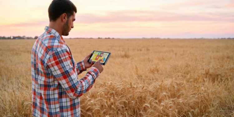 Wheat Starting Wednesday with Weakness