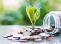 A plant grows from coins.