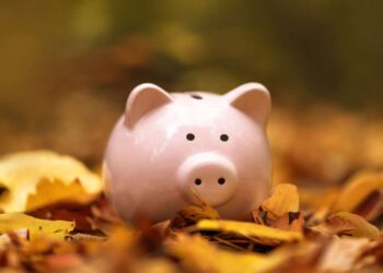 Piggy bank in autumn leaves