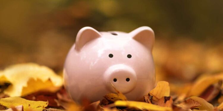Piggy bank in autumn leaves
