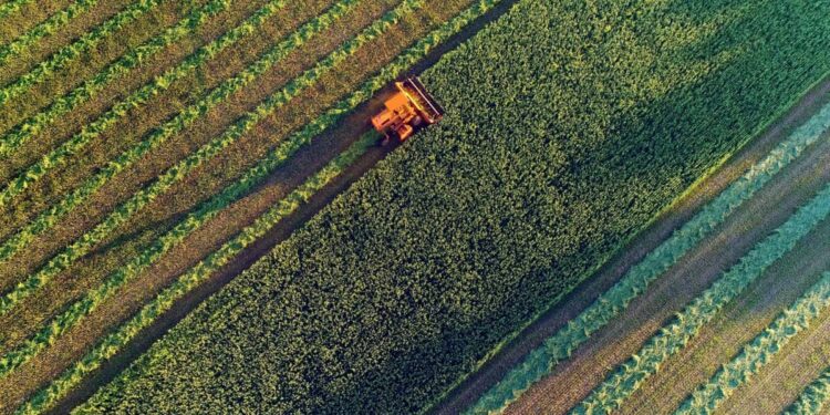 Agricultural harvesting at the last light of day, aerial view.